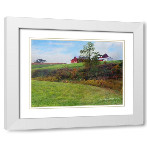 Ohio Barn with Red Fox White Modern Wood Framed Art Print with Double Matting by Vest, Chris