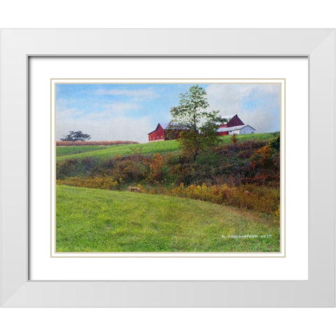 Ohio Barn with Red Fox White Modern Wood Framed Art Print with Double Matting by Vest, Chris