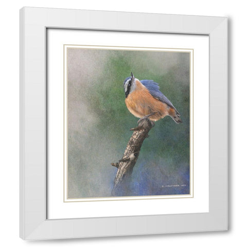 Red Breasted Nuthatch White Modern Wood Framed Art Print with Double Matting by Vest, Chris