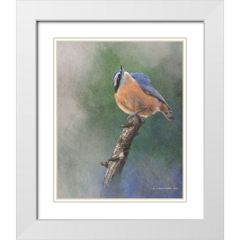 Red Breasted Nuthatch White Modern Wood Framed Art Print with Double Matting by Vest, Chris