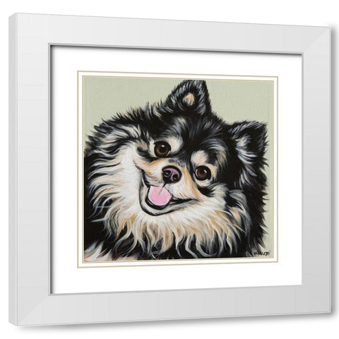 Black and Tan Pomeranian White Modern Wood Framed Art Print with Double Matting by Vitaletti, Carolee