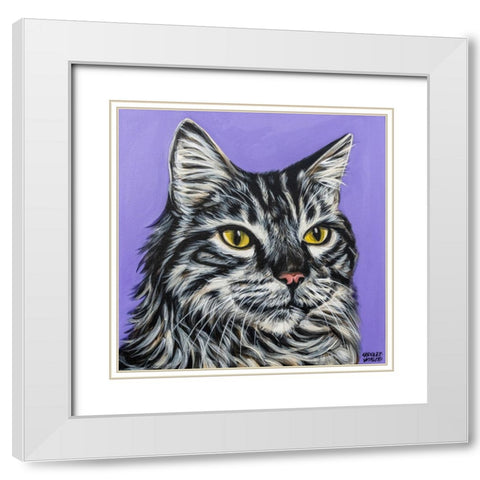 Tough Cat White Modern Wood Framed Art Print with Double Matting by Vitaletti, Carolee