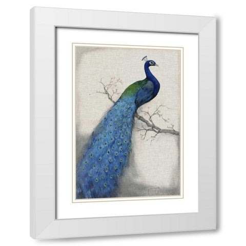 Peacock Blue I White Modern Wood Framed Art Print with Double Matting by OToole, Tim