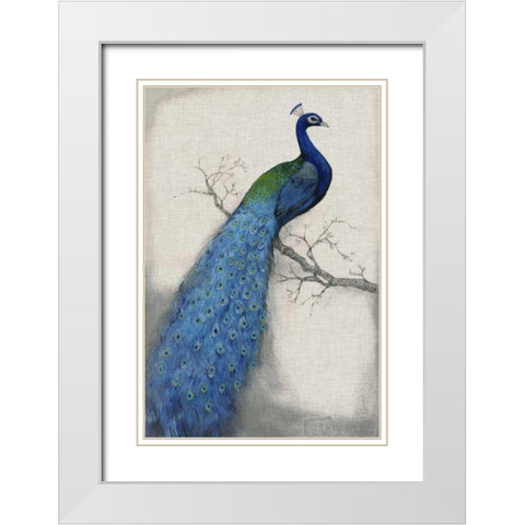 Peacock Blue I White Modern Wood Framed Art Print with Double Matting by OToole, Tim