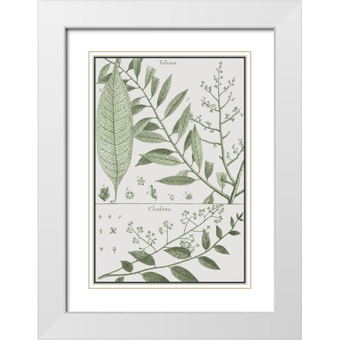 Antique Ferns Revival I White Modern Wood Framed Art Print with Double Matting by Dedirot