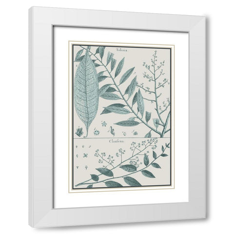 Antique Ferns Revival III White Modern Wood Framed Art Print with Double Matting by Dedirot