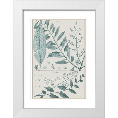Antique Ferns Revival III White Modern Wood Framed Art Print with Double Matting by Dedirot