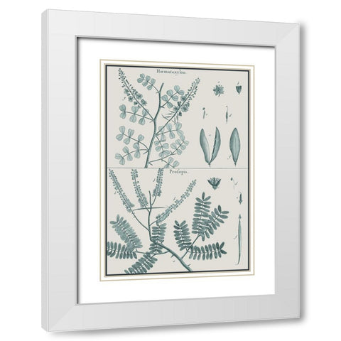 Antique Ferns Revival IV White Modern Wood Framed Art Print with Double Matting by Dedirot