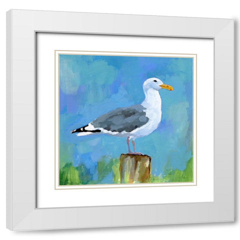 Salty Gull I White Modern Wood Framed Art Print with Double Matting by Barnes, Victoria