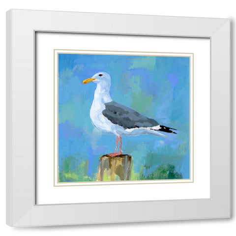 Salty Gull II White Modern Wood Framed Art Print with Double Matting by Barnes, Victoria