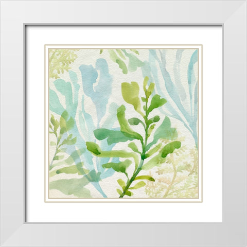 Seaweed Scramble II White Modern Wood Framed Art Print with Double Matting by Barnes, Victoria