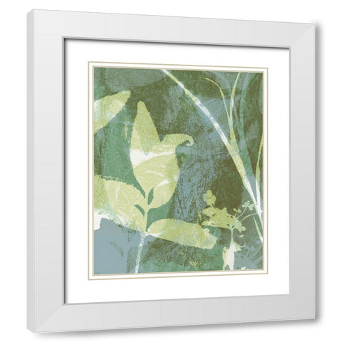 Serene Botany II White Modern Wood Framed Art Print with Double Matting by Barnes, Victoria
