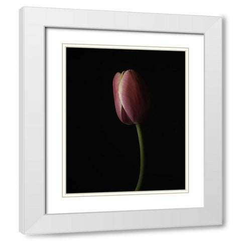 Beautiful Curve I White Modern Wood Framed Art Print with Double Matting by McLean, Leah