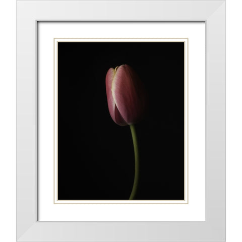Beautiful Curve I White Modern Wood Framed Art Print with Double Matting by McLean, Leah