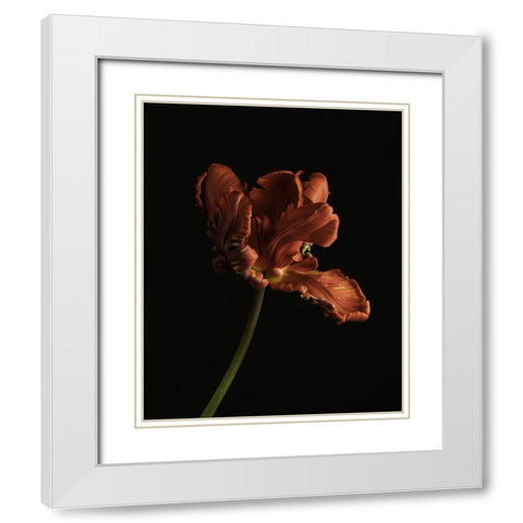 Beautiful Curve II White Modern Wood Framed Art Print with Double Matting by McLean, Leah