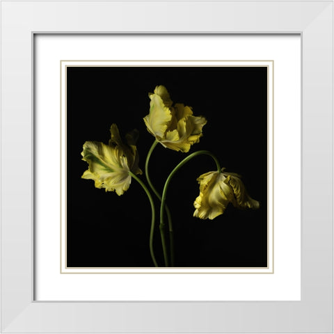 Beautiful Curve III White Modern Wood Framed Art Print with Double Matting by McLean, Leah