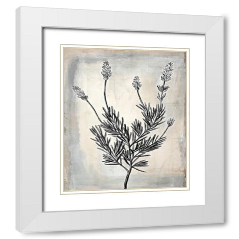 Floral Frame I White Modern Wood Framed Art Print with Double Matting by Smith, Karen