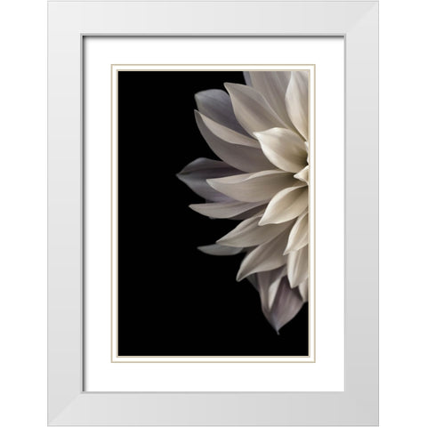Shattered Petals I White Modern Wood Framed Art Print with Double Matting by Stalus, Judy