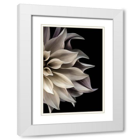 Shattered Petals II White Modern Wood Framed Art Print with Double Matting by Stalus, Judy