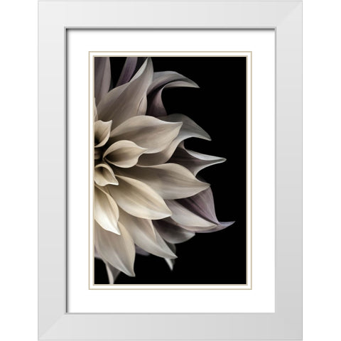 Shattered Petals II White Modern Wood Framed Art Print with Double Matting by Stalus, Judy