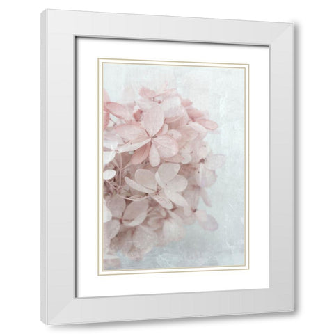 Frosted Over I White Modern Wood Framed Art Print with Double Matting by Stalus, Judy