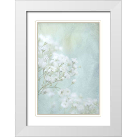 Soft Whisper I White Modern Wood Framed Art Print with Double Matting by Stalus, Judy