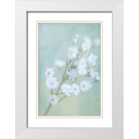 Soft Whisper III White Modern Wood Framed Art Print with Double Matting by Stalus, Judy