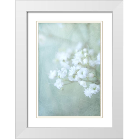 Soft Whisper IV White Modern Wood Framed Art Print with Double Matting by Stalus, Judy