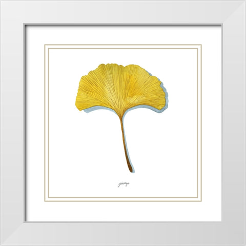 Golden Ginkgo Study I White Modern Wood Framed Art Print with Double Matting by Popp, Grace