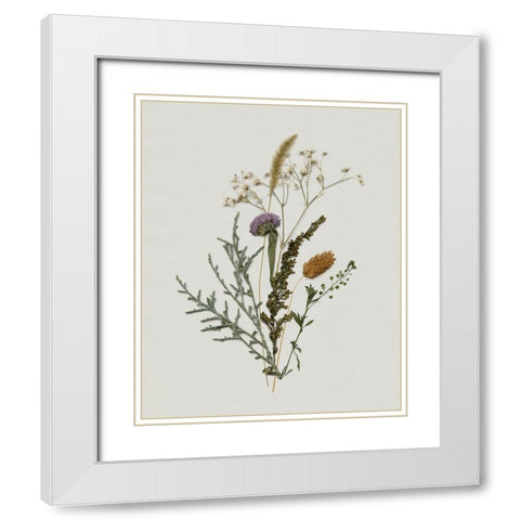 Pressed Autumn Blooms I White Modern Wood Framed Art Print with Double Matting by Barnes, Victoria