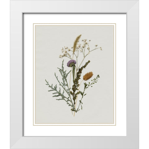 Pressed Autumn Blooms I White Modern Wood Framed Art Print with Double Matting by Barnes, Victoria