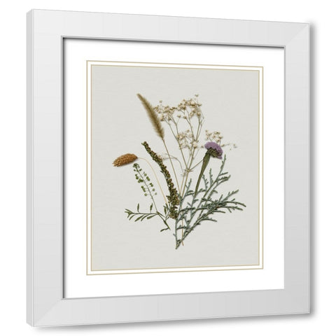 Pressed Autumn Blooms II White Modern Wood Framed Art Print with Double Matting by Barnes, Victoria