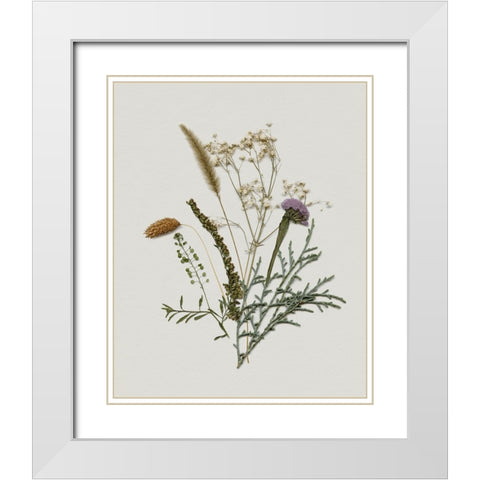 Pressed Autumn Blooms II White Modern Wood Framed Art Print with Double Matting by Barnes, Victoria