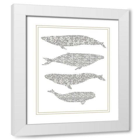Dashed Whale Chart II White Modern Wood Framed Art Print with Double Matting by Vision Studio