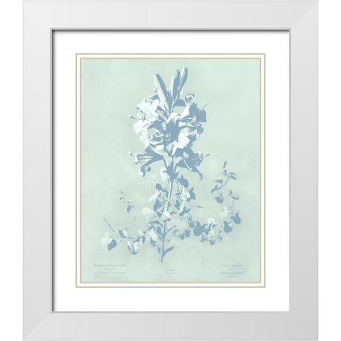 Mint Lilium II White Modern Wood Framed Art Print with Double Matting by Dussurgey, Chabal