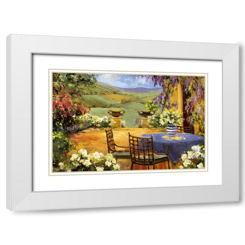 Countryside Terrace White Modern Wood Framed Art Print with Double Matting by Stevens, Allayn