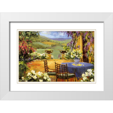 Countryside Terrace White Modern Wood Framed Art Print with Double Matting by Stevens, Allayn
