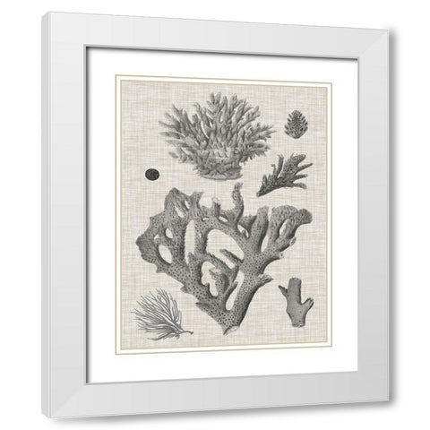 Coral on Linen II White Modern Wood Framed Art Print with Double Matting by Vision Studio