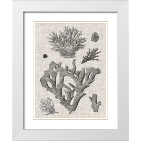 Coral on Linen II White Modern Wood Framed Art Print with Double Matting by Vision Studio