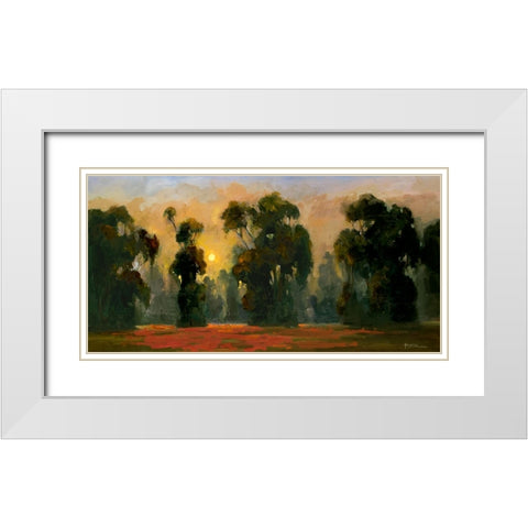 Sun Glint I White Modern Wood Framed Art Print with Double Matting by Stevens, Allayn