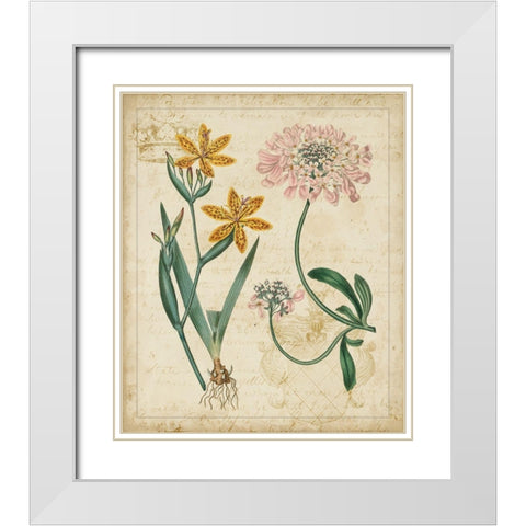 Botanical Repertoire I White Modern Wood Framed Art Print with Double Matting by Vision Studio
