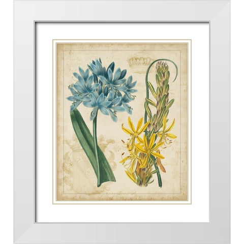 Botanical Repertoire II White Modern Wood Framed Art Print with Double Matting by Vision Studio