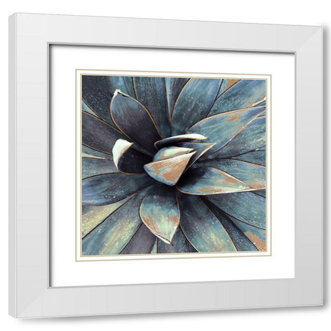 Succulent in Teal I White Modern Wood Framed Art Print with Double Matting by Orlov, Irena