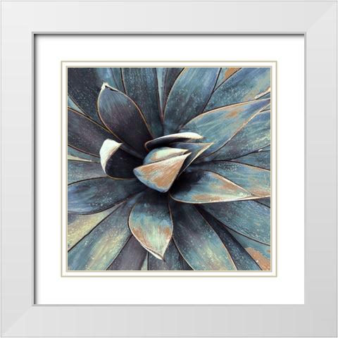 Succulent in Teal I White Modern Wood Framed Art Print with Double Matting by Orlov, Irena