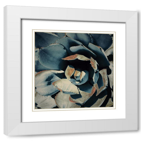 Succulent in Teal II White Modern Wood Framed Art Print with Double Matting by Orlov, Irena