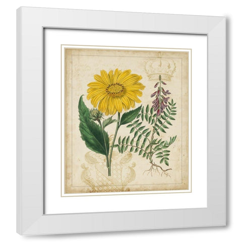 Botanical Repertoire III White Modern Wood Framed Art Print with Double Matting by Vision Studio