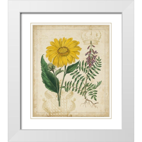 Botanical Repertoire III White Modern Wood Framed Art Print with Double Matting by Vision Studio