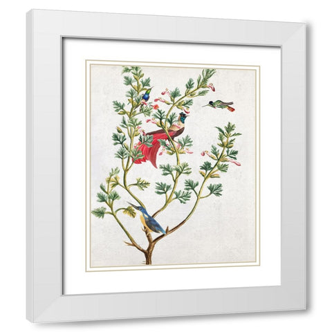 Perching Bird II White Modern Wood Framed Art Print with Double Matting by Smith, Karen