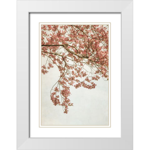 Quiet Spring  I White Modern Wood Framed Art Print with Double Matting by Poinski, Dianne
