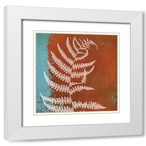 Fern Abstract Study I White Modern Wood Framed Art Print with Double Matting by Poinski, Dianne